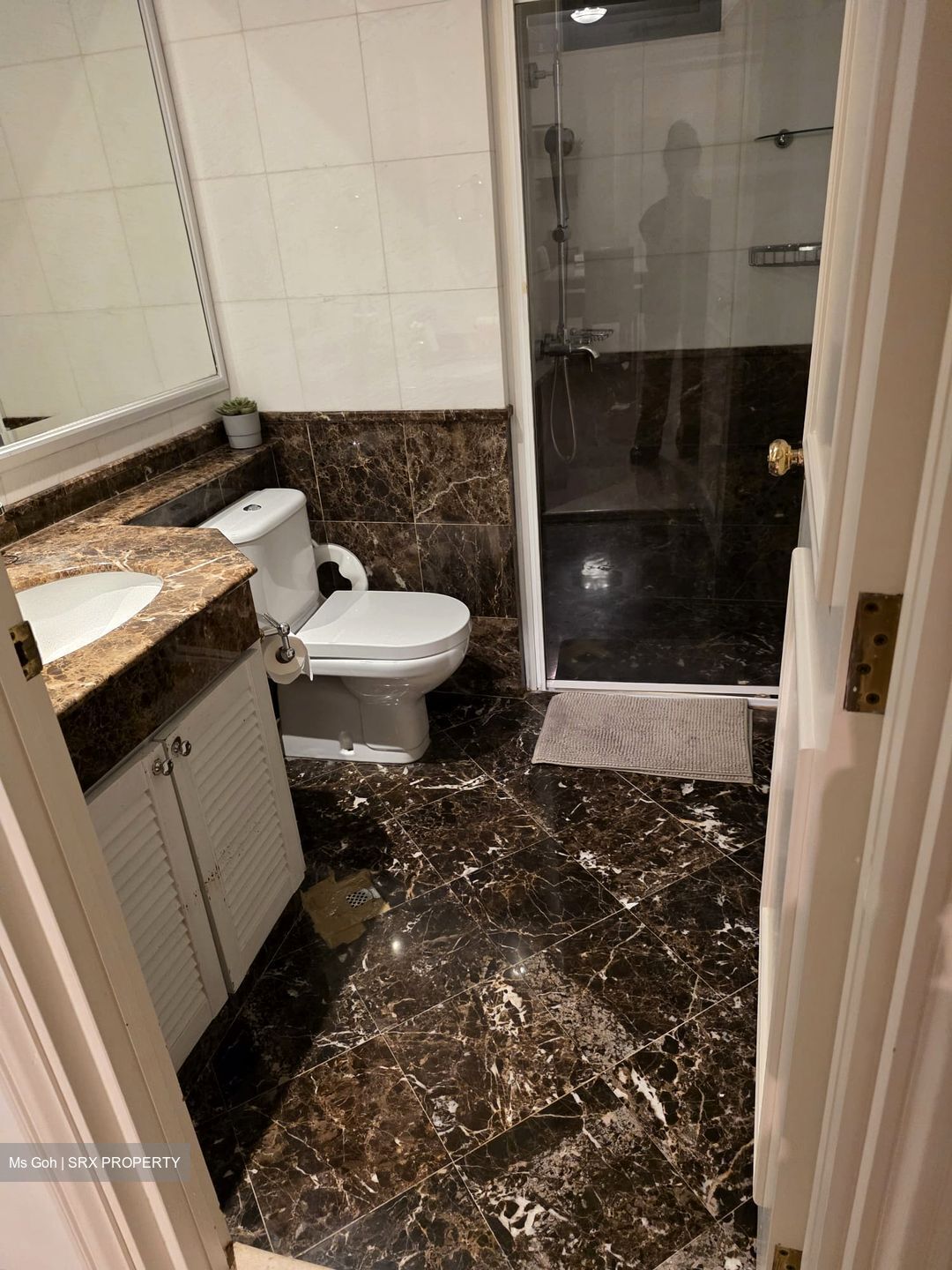 Fifth Avenue Condominium (D10), Condominium #597608431